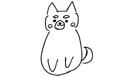 shiba